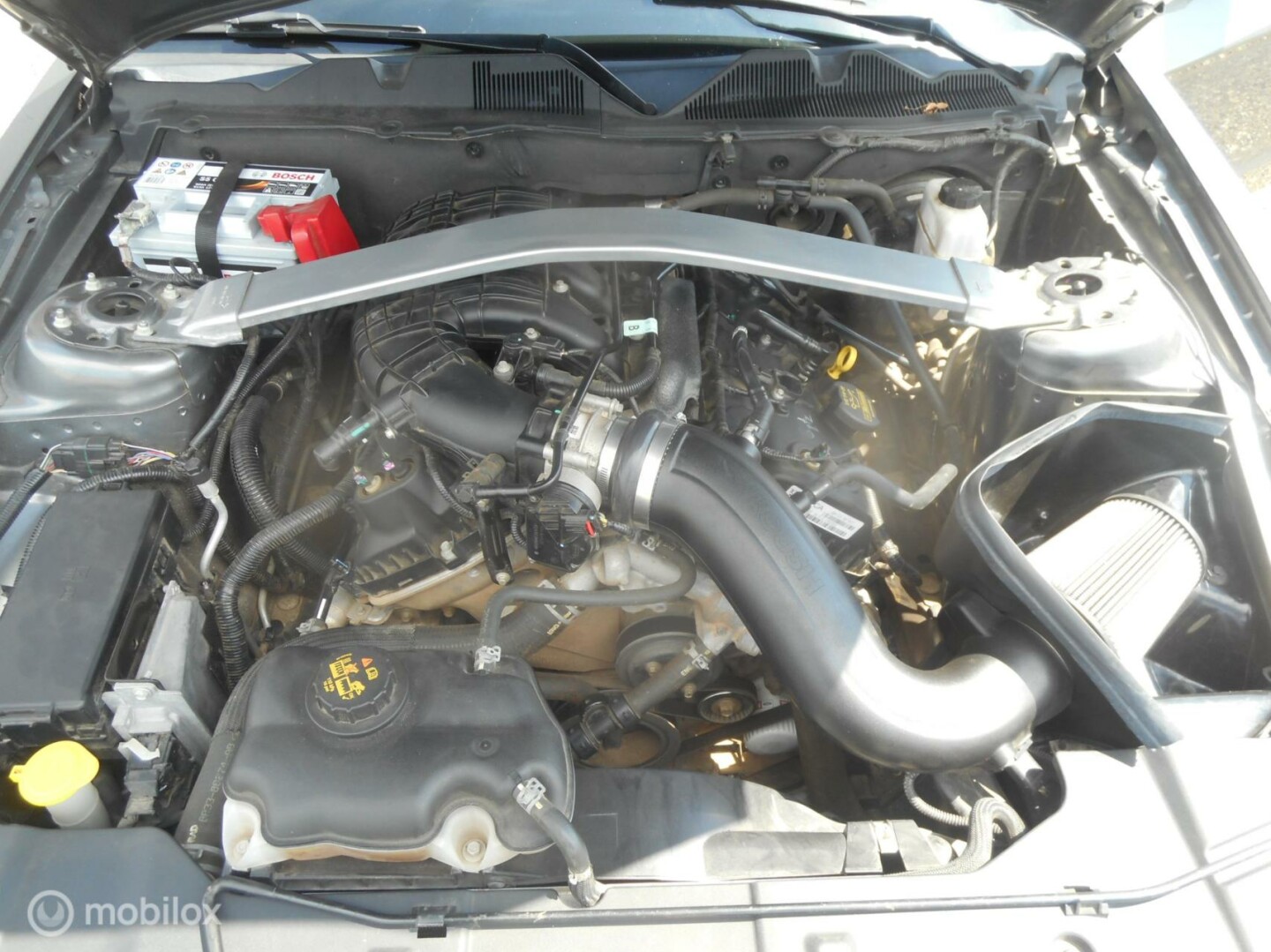 Ford USA-Mustang-15