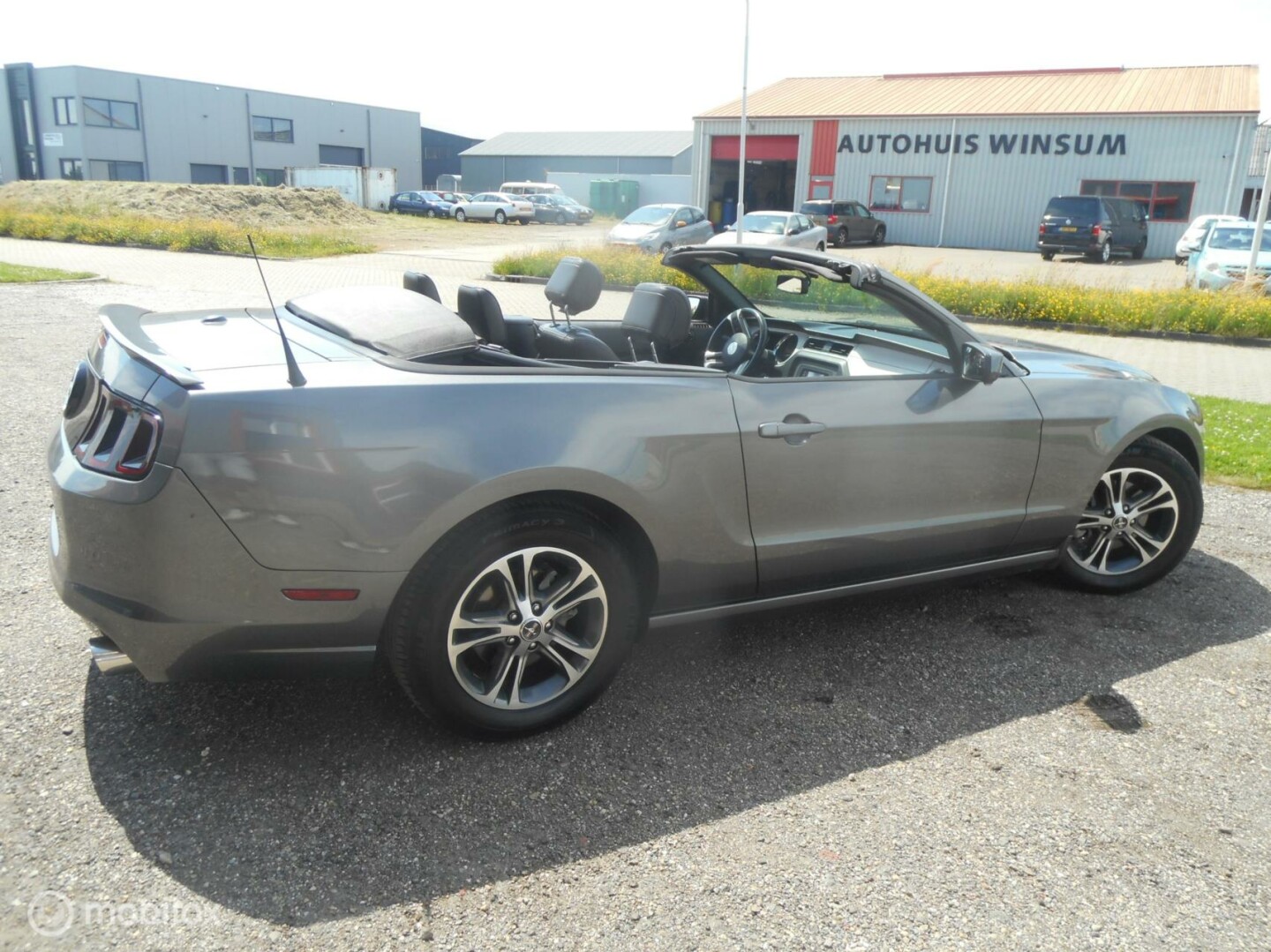 Ford USA-Mustang-5