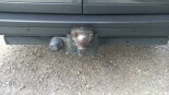 Volkswagen-Crafter-5